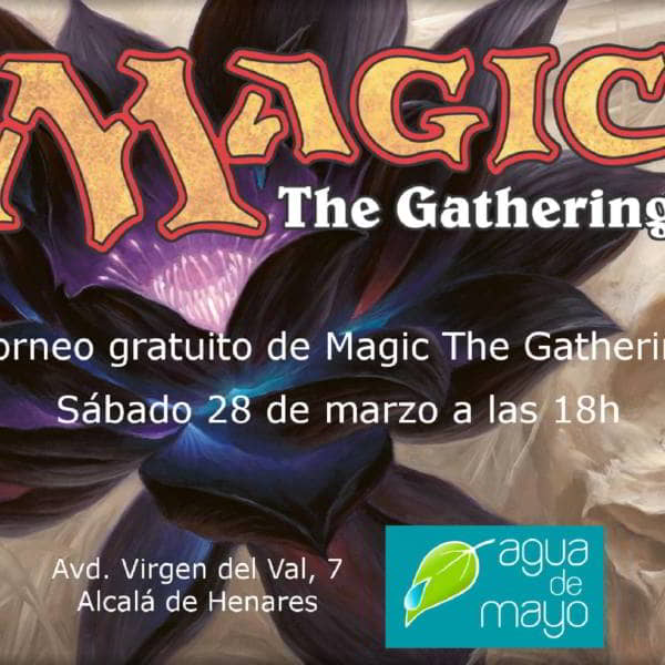 Diario de Alcalá: «¿Sabes jugar a ‘Magic: The gatering’?»