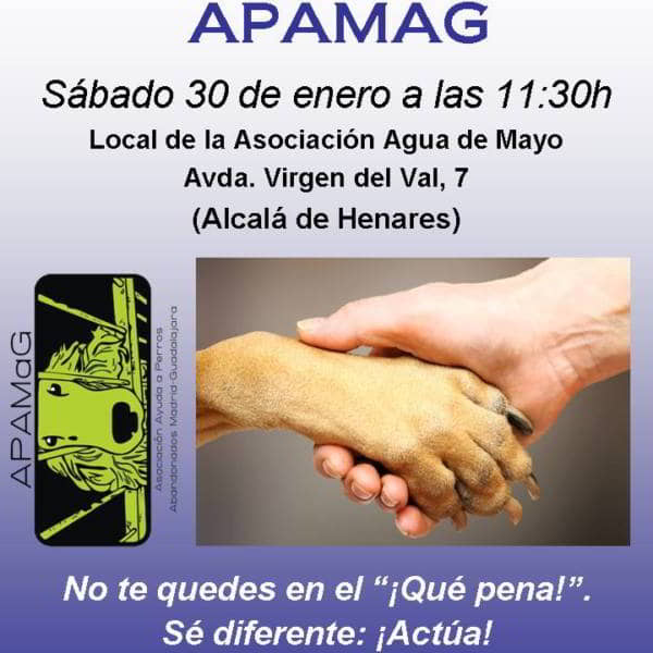 Voluntariado en protectora de animales. Jornada informativa. Sábado 30 de enero, 11:30 h