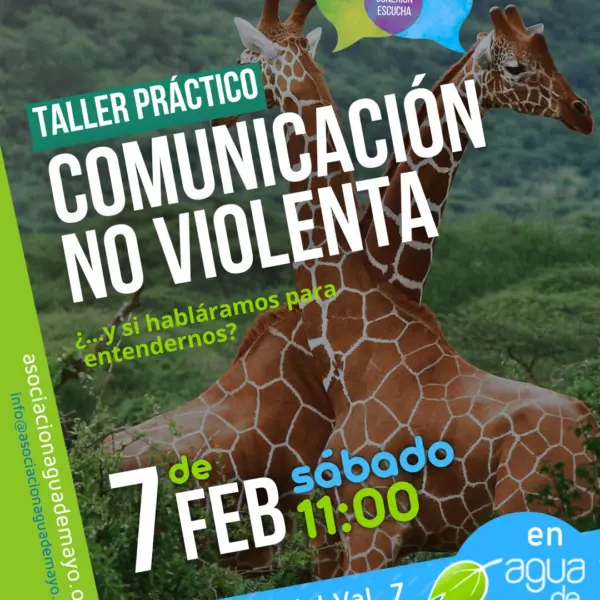 taller de comunicacion no violenta