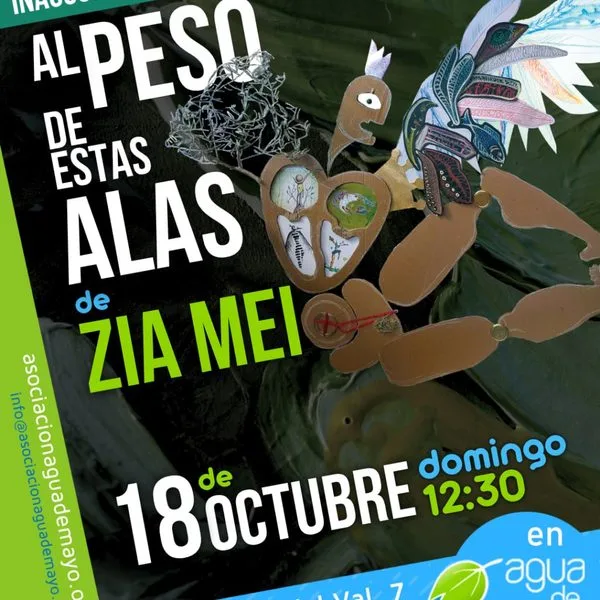Al peso de estas alas. zia mei